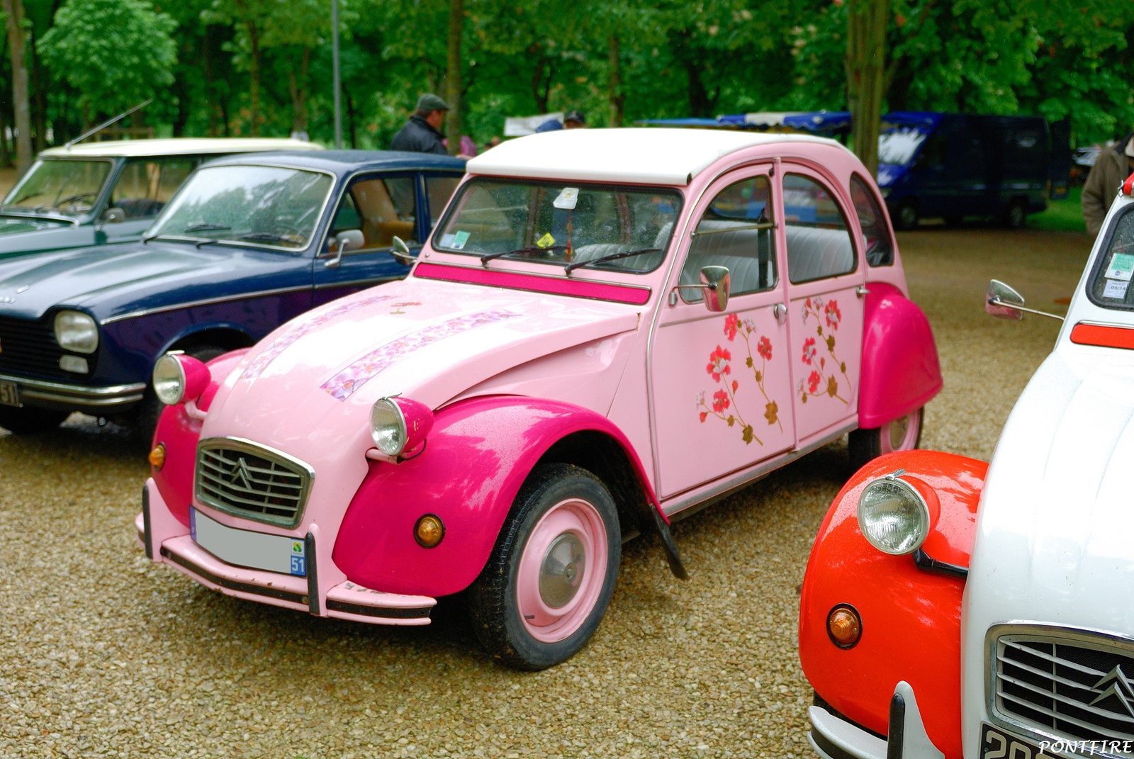 2 CV rose
