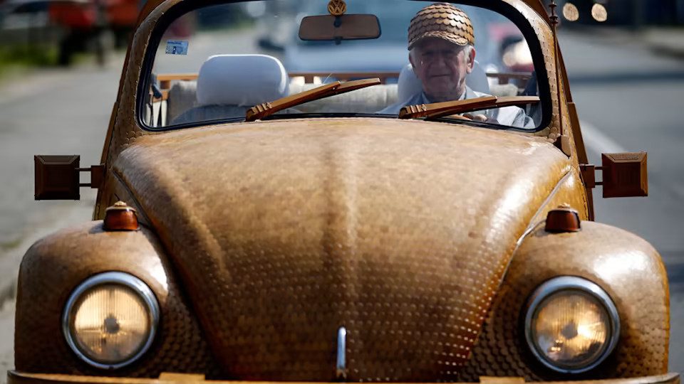 Une Coccinelle en bois