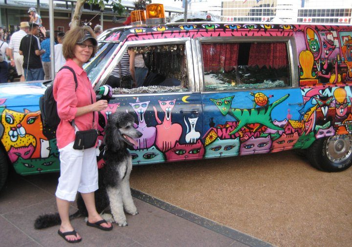 Cat'illac