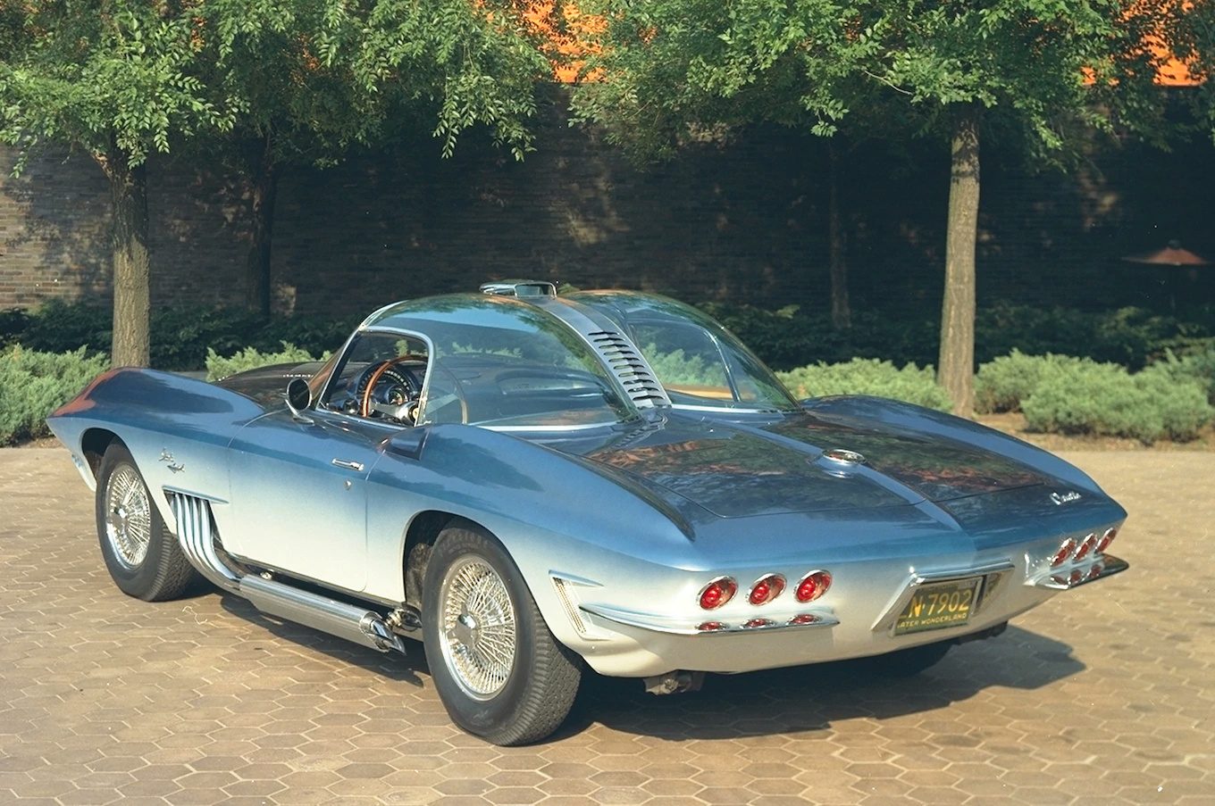 Corvette Mako Shark