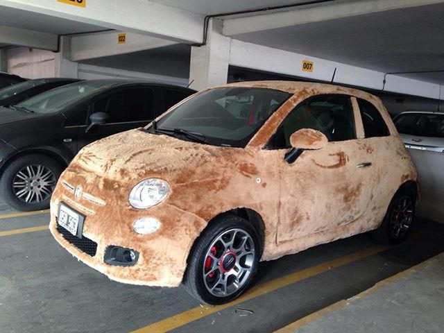 Fiat 500 en fourrure