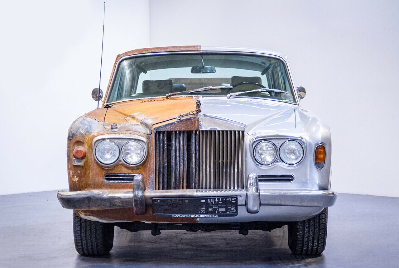 Silver Shadow par Ulrich Schober